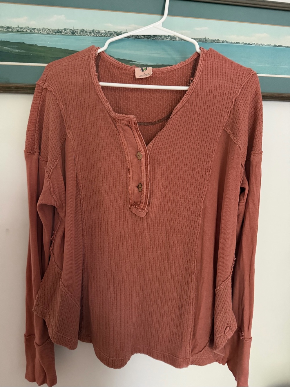 We The Free Long-Sleeve Waffle Henley in Rust